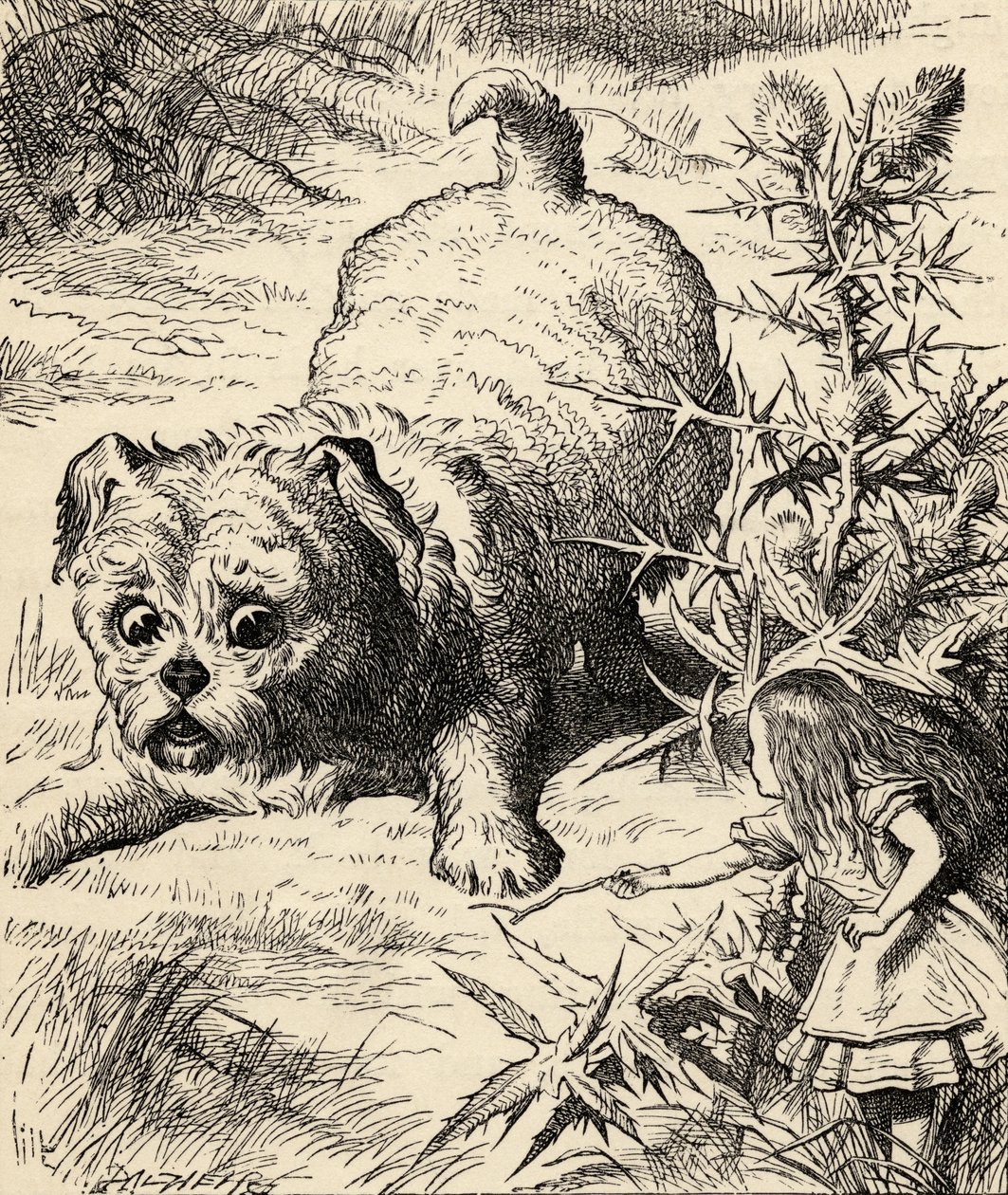 Alice kutistuu ja tapaa pennun, Lewis Carrollin teoksesta "Liisan seikkailut ihmemaassa", julkaistu 1891 tekijältä John Tenniel