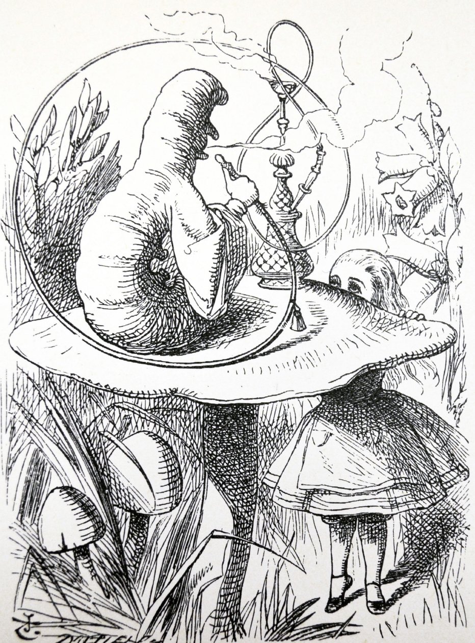 Liisan seikkailut ihmemaassa, 1865 tekijältä John Tenniel