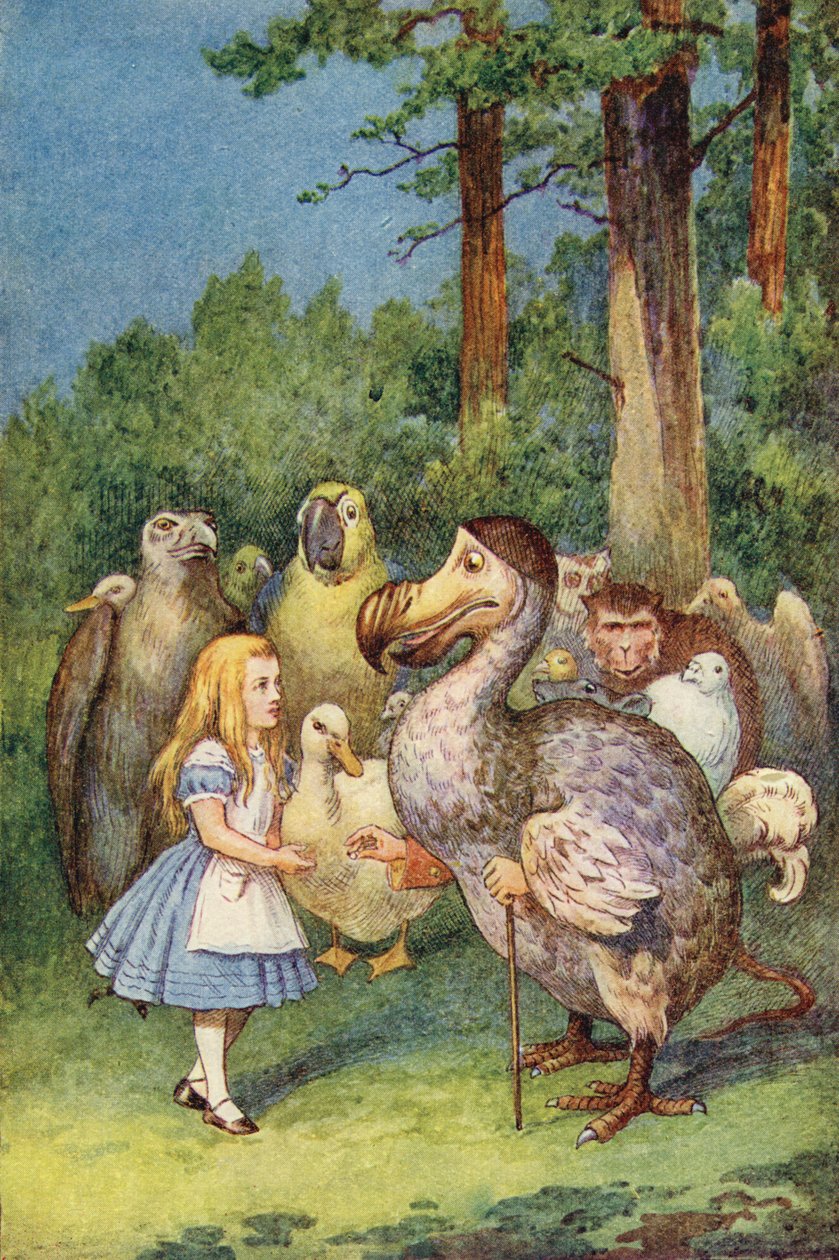 Dodo antaa Alicelle sormustimen (värikaiverrus) tekijältä John Tenniel