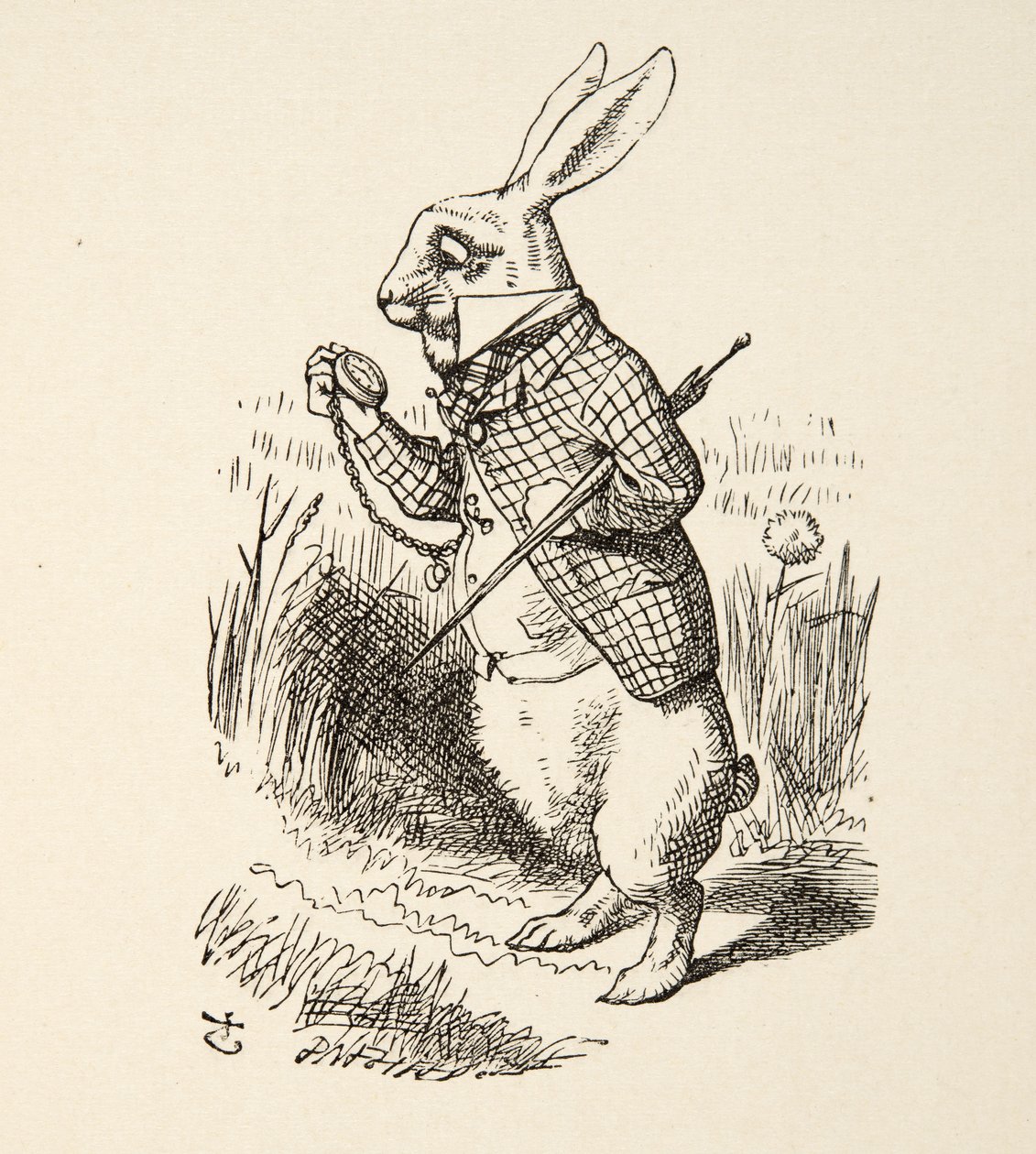 Valkoinen kani, Lewis Carrollin (1832 - 98) kirjasta Alices Adventures in Wonderland, pub. 1891 tekijältä John Tenniel