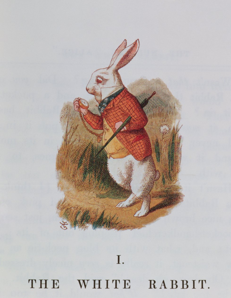 Valkoinen kani, kuvitus Lewis Carrollin (1832-98) Liisasta Ihmemaassa, muokkannut Emily Gertrude Thomson (k.1932) 1889 tekijältä John Tenniel