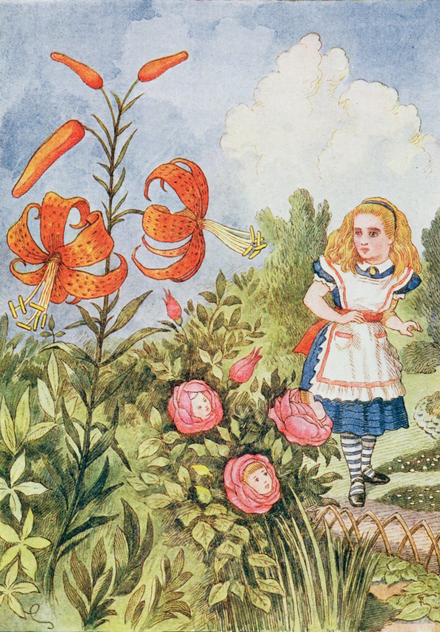 Tiikerililja, Lewis Carrollin (1832-98) kirjasta 