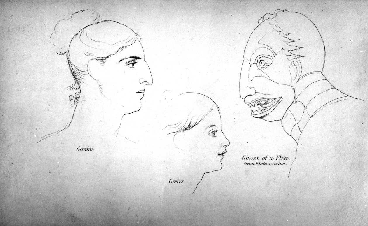"The Ghost of a Flea" Blaken näystä, kuvitus John Varleyn "Zodiacal Physiognomy" -kirjasta, julkaistu 1828, painatus John Linnell tekijältä John Varley