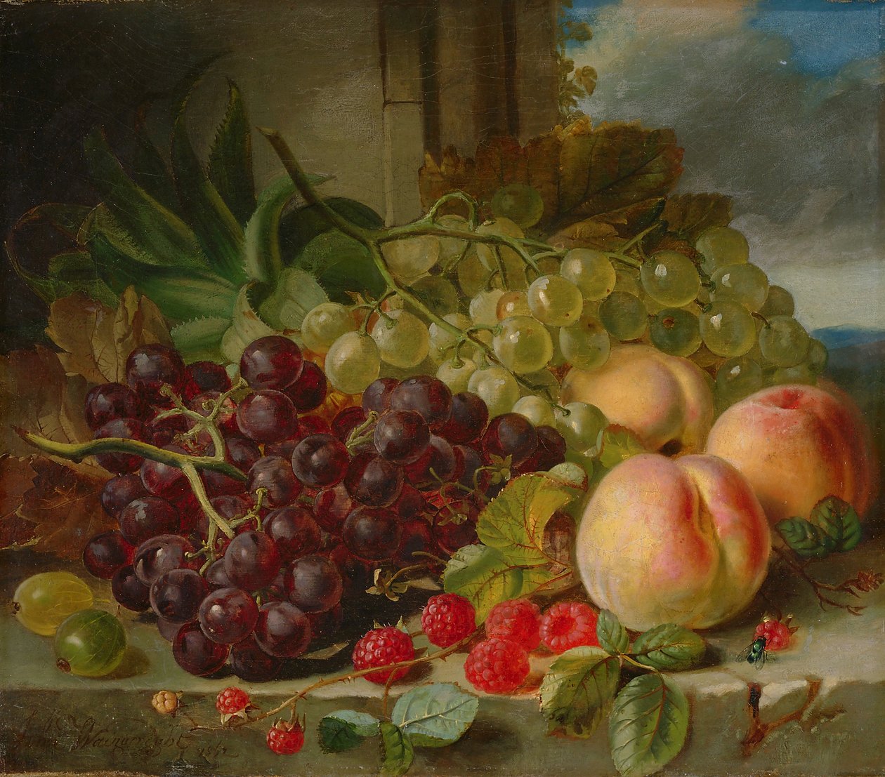 Hedelmäinen asetelma, 1862 tekijältä John Wainwright