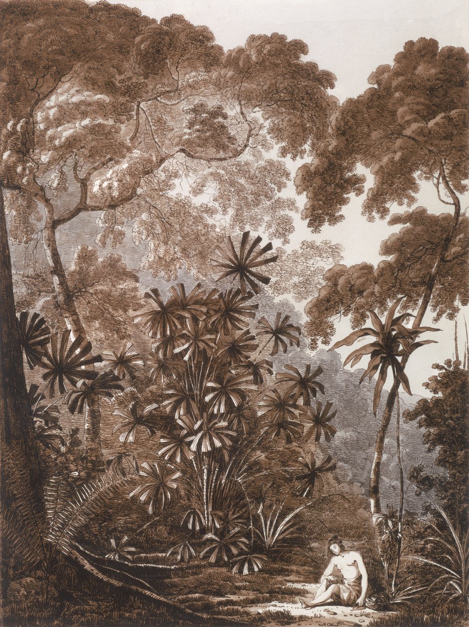 Fan Palm Krakatoa saarella, 