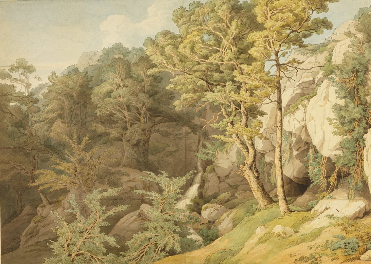 Canonteign, Devon, 1804 (kynä ja muste ja wc paperilla) tekijältä John White Abbott