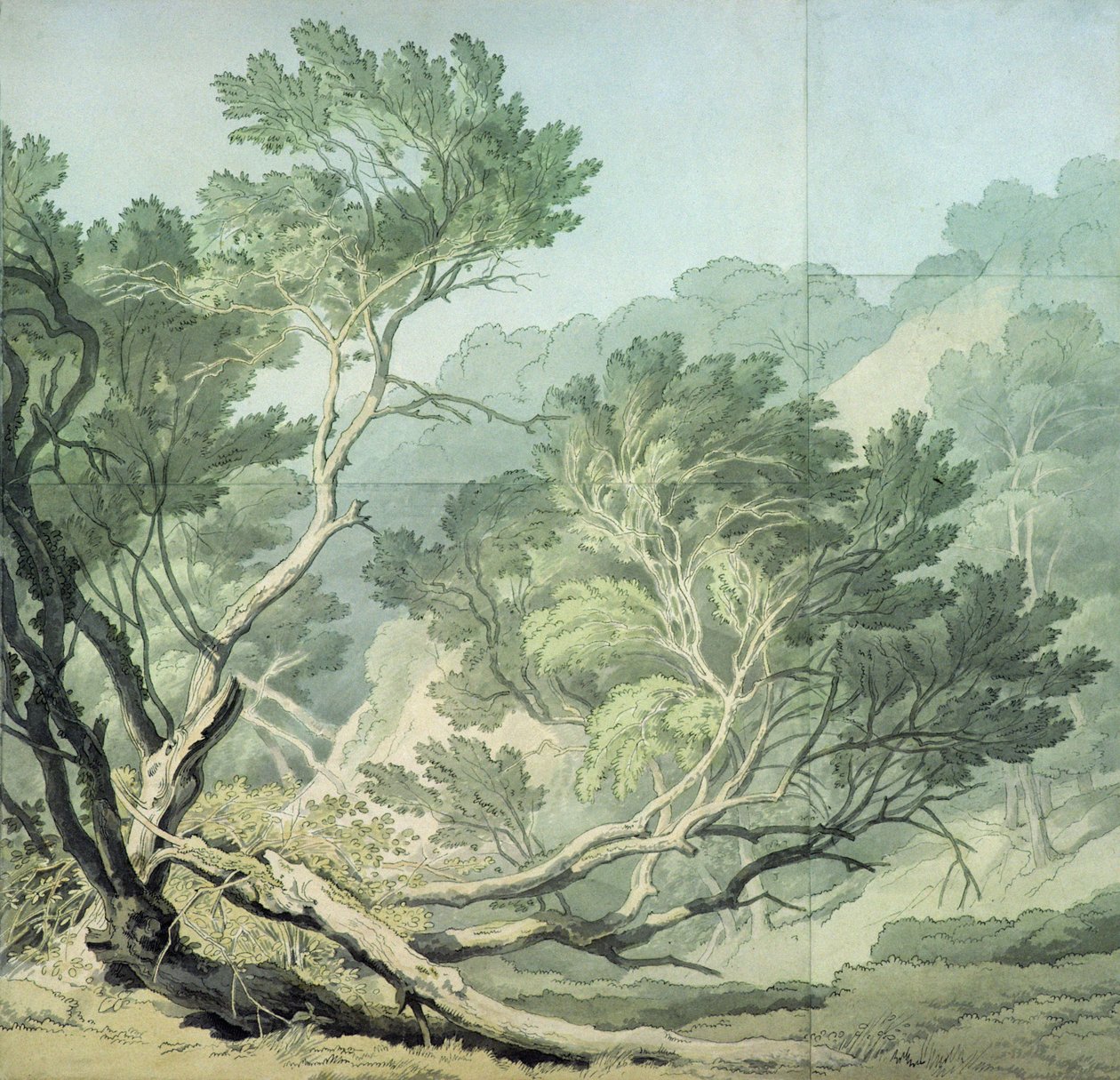 Näkymä lähellä Fordlandsia, Exeter tekijältä John White Abbott