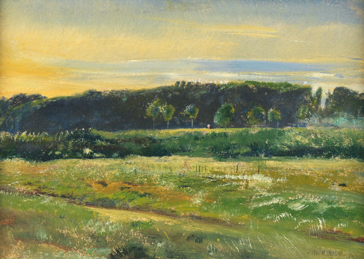 The Common, kesäkuu 1871 (öljy kortille) tekijältä John William Inchbold