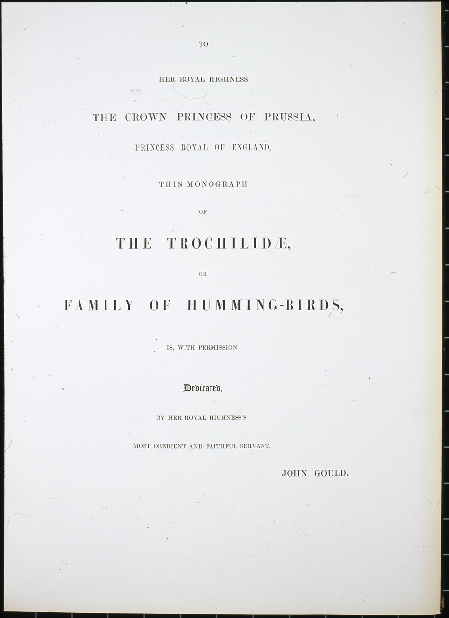 Etukappale (käsinvärinen lito) tekijältä John (after) Gould