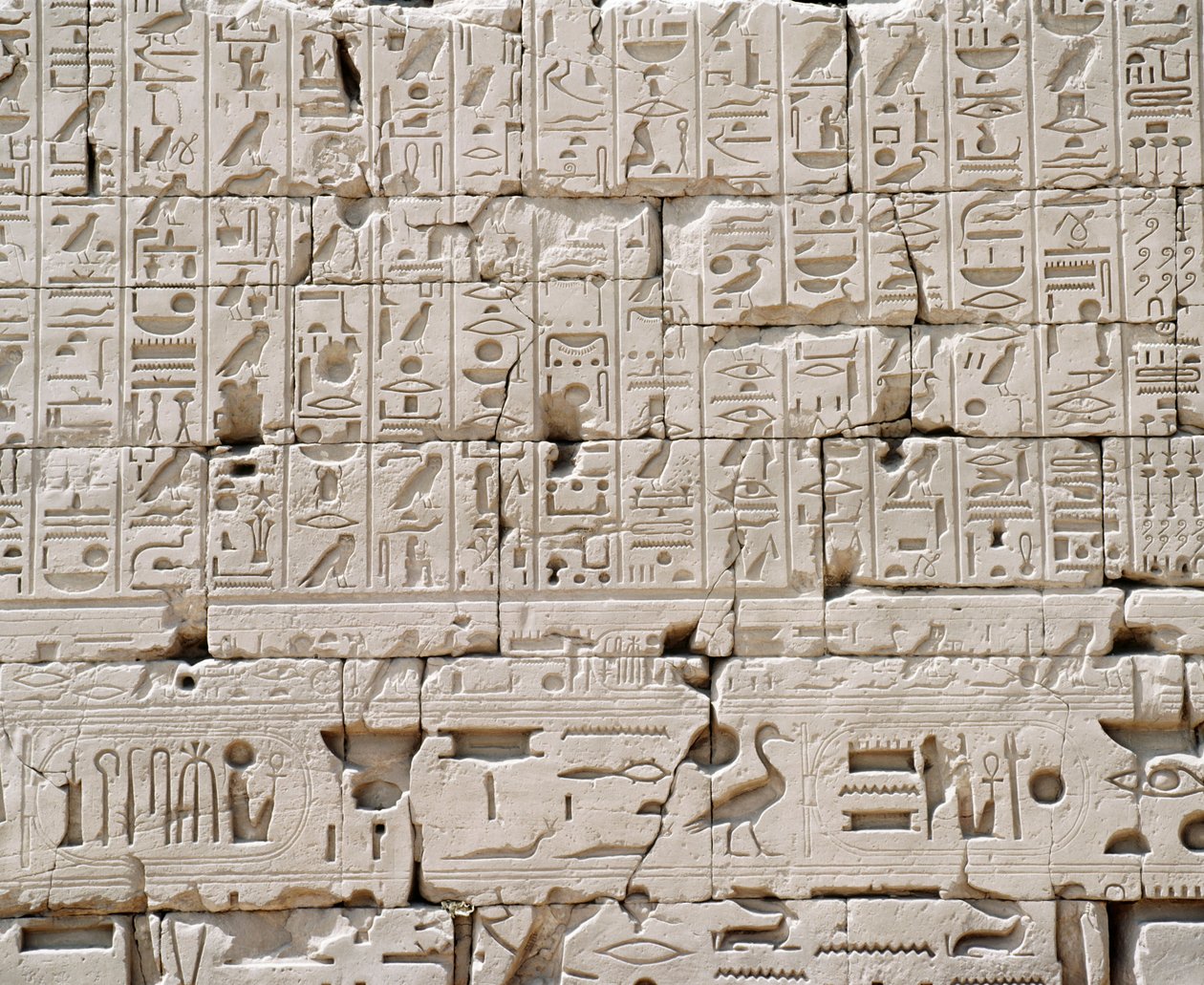 Egypti, Luxorin kuvernööri, Karnak, Suuri Amonin temppeli, Suuri Hypostyle Hall, Ulkoseinän yksityiskohta tekijältä Walter Charles Mills