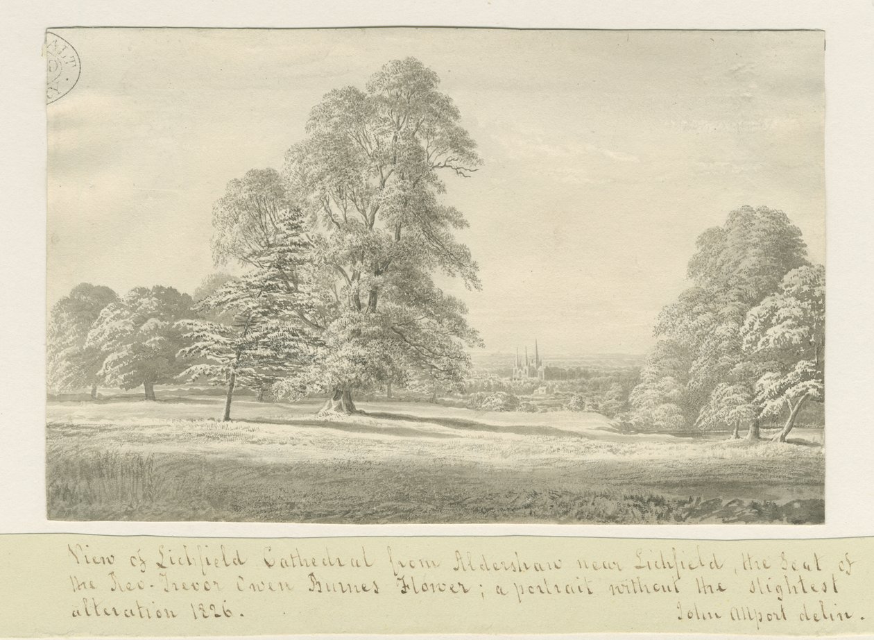 Lichfield Cathedral - Näkymä Aldershawsta (kaukainen): seepiapiirros tekijältä John Allport