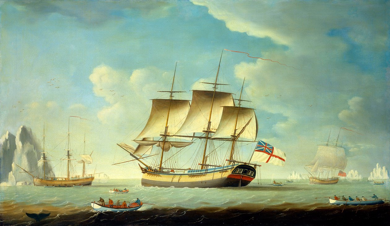 Valaanpyytäjä ja muita aluksia kevyessä tuulessa, noin 1790 (öljy kankaalle). tekijältä John Askew