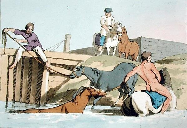 Taiteilijan kaivertama uimahevoset, julkaistu 1803 (värilitho) tekijältä John Augustus Atkinson