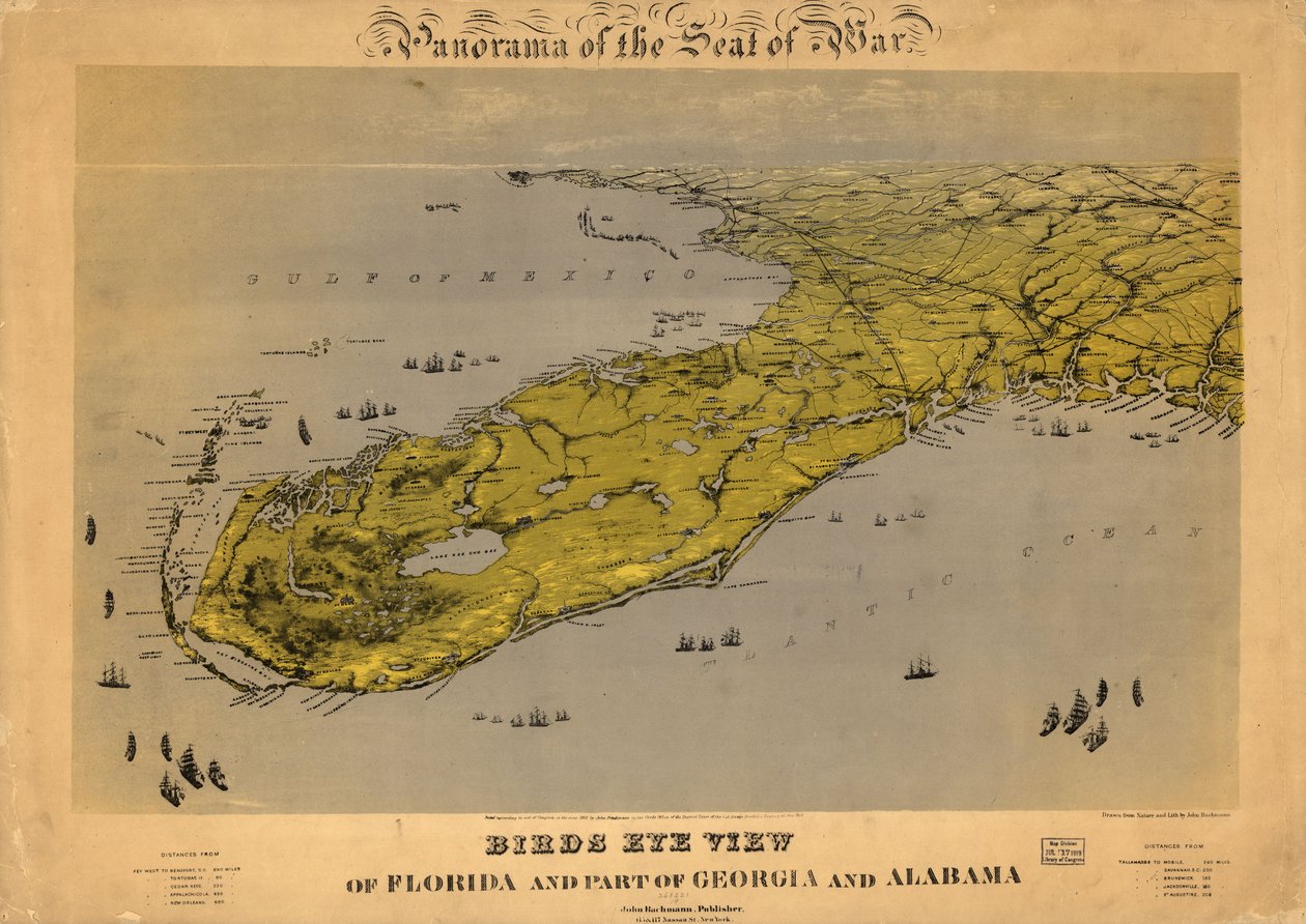 Floridan sekä osan Georgian ja Alabaman osavaltioista lintuperspektiivistä LOC 99447266 99447266 tekijältä John Bachmann