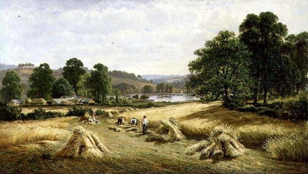 Kultaisen viljan kerääminen lähellä Bishopsteigntonia, Plymouth tekijältä John Barrett