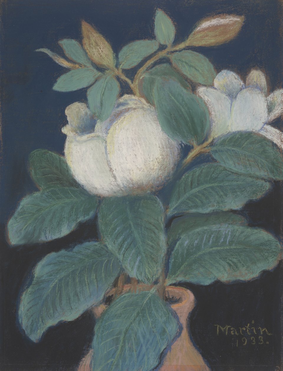 Magnolian kukkia, 1933 tekijältä John Breckinridge Martin