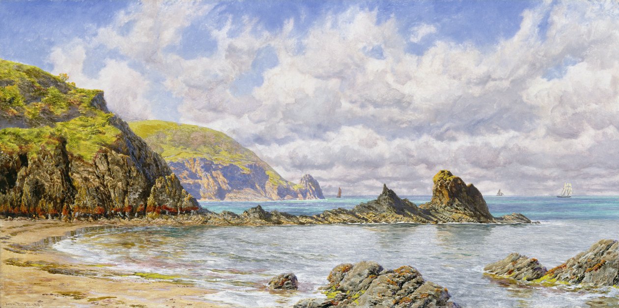 Forest Cove, Cardigan Bay tekijältä John Brett