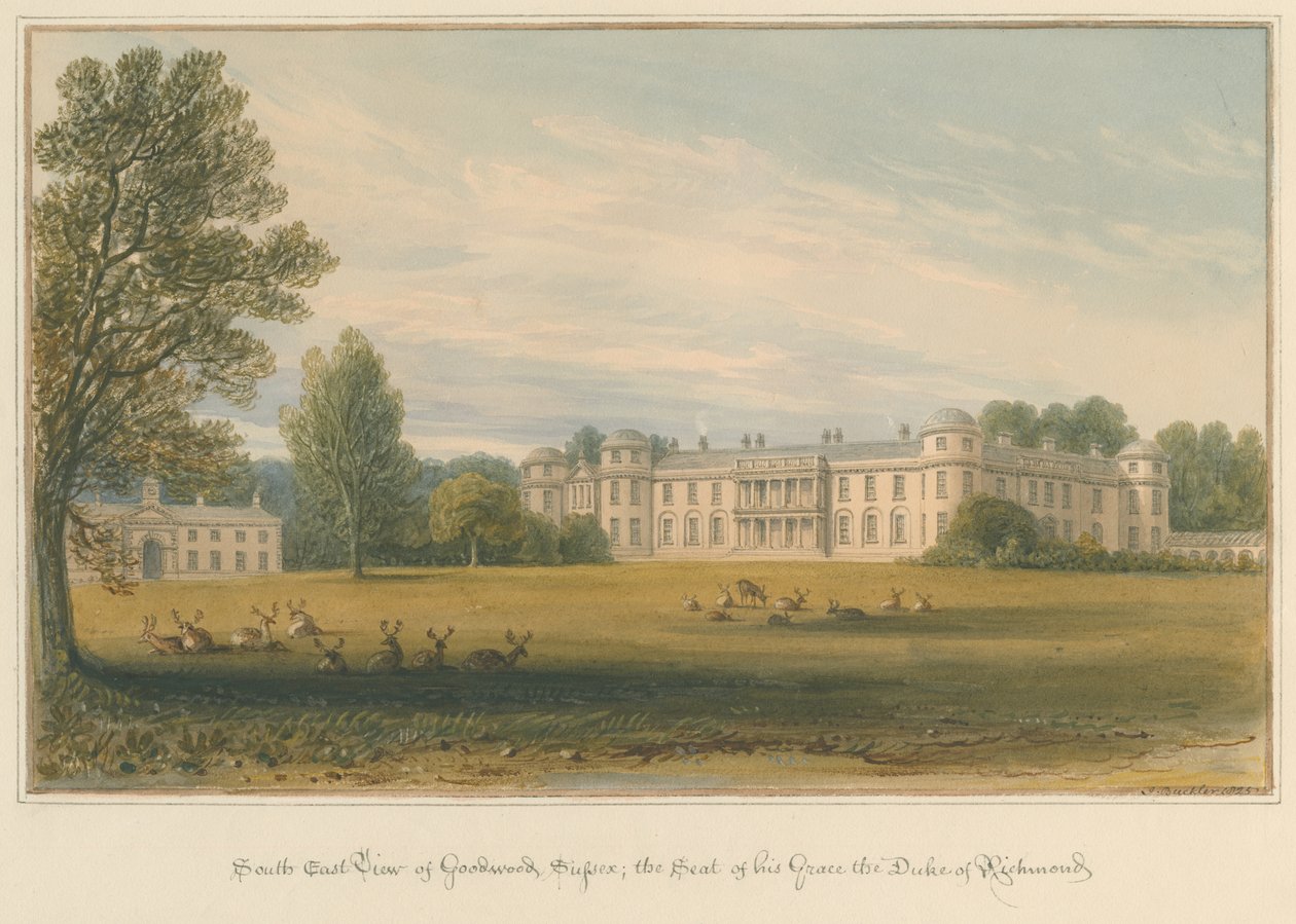 Sussex - Goodwood, 1825 tekijältä John Buckler