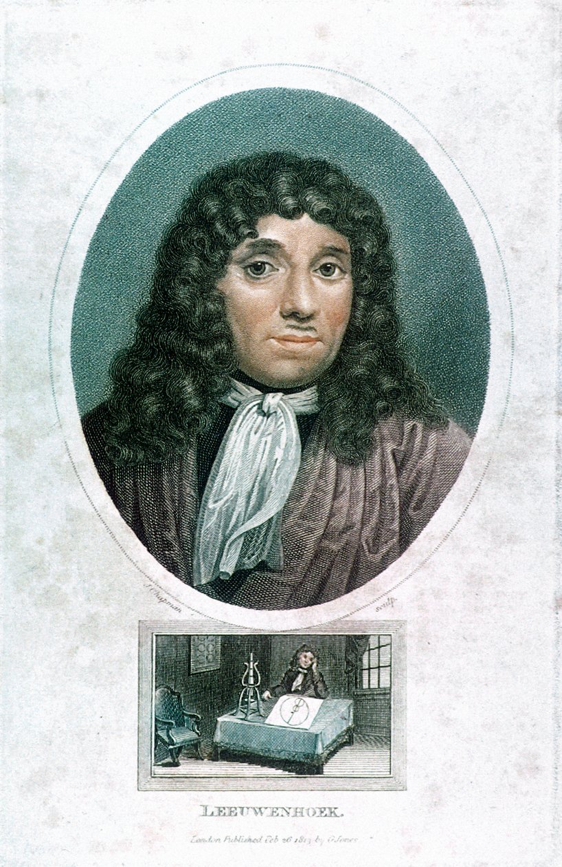 Anton van Leeuwenhoek 1632-1723, hollantilainen mikroskooppi, c1810 tekijältä John Chapman