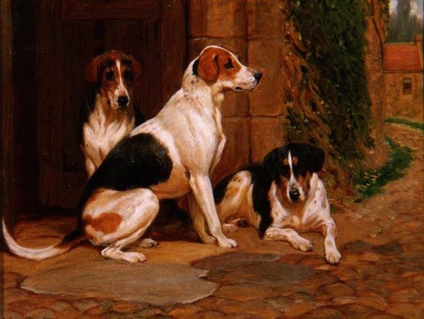 Foxhounds tekijältä John Charlton