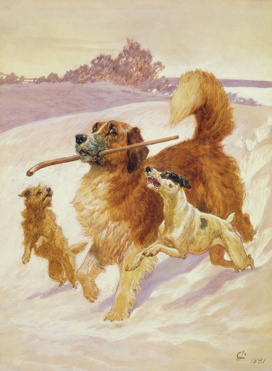 Kolme koiraa leikkimässä lumessa, 1881 tekijältä John Charlton