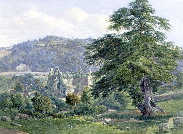 Tintern Abbey ja Wye Beyond (akvarelli) tekijältä John Chase