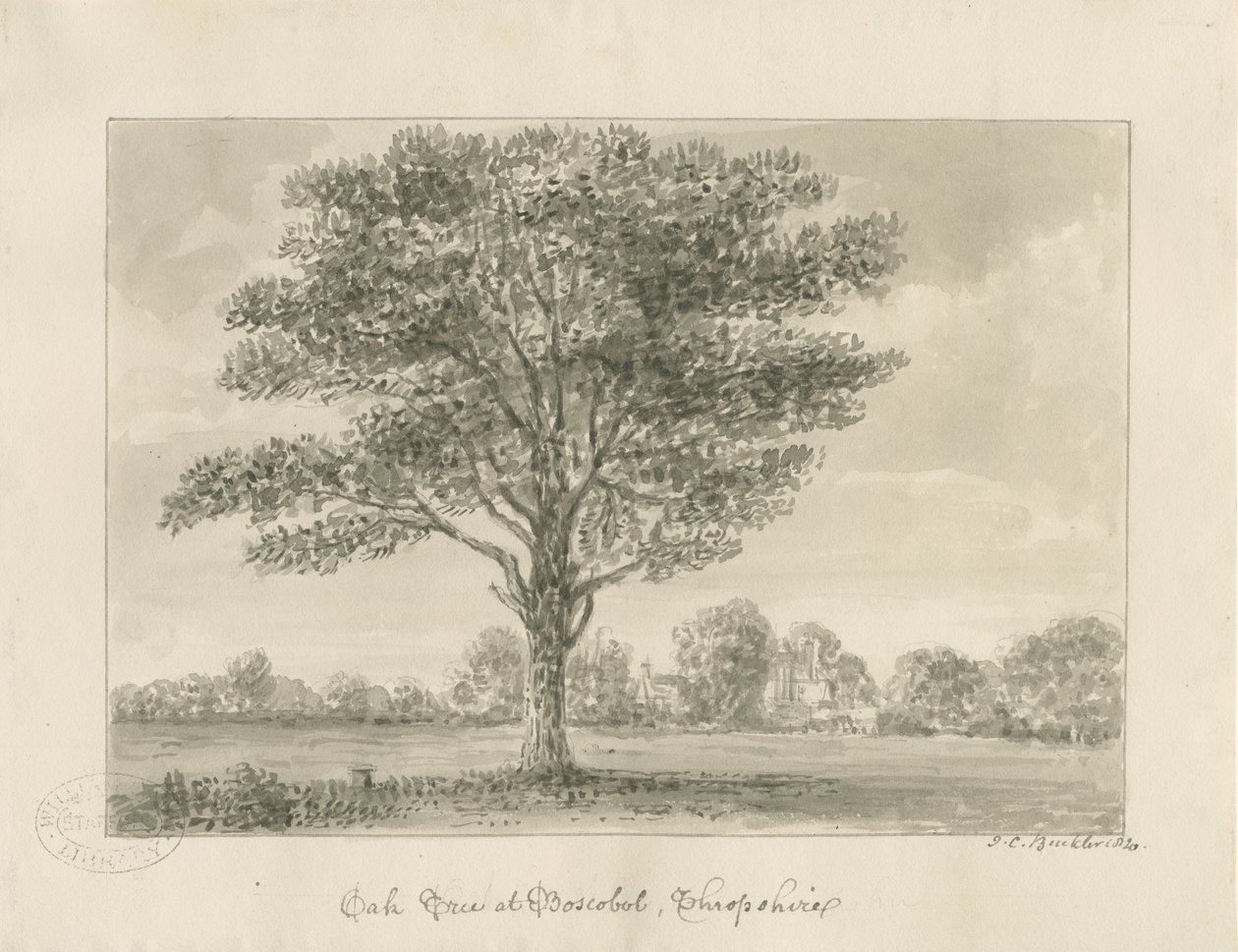 Boscobel - Kuninkaallinen tammi: seepiapiirustus, 1820 tekijältä John Chessell Buckler