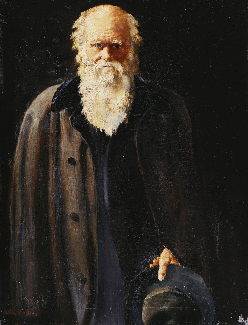 Charles Darwinin muotokuva seisomassa, pituus kolme neljäsosaa, 1897 tekijältä John Collier