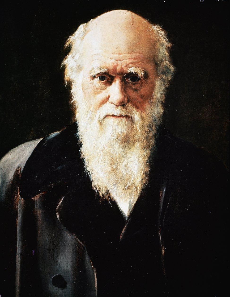 Englantilaisen luonnontieteilijän Charles Darwinin muotokuva, yksityiskohta (öljy kankaalle tekijältä John Collier
