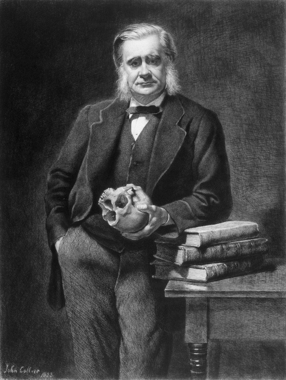 Thomas Henry Huxley (1825-95), kaivertanut Leopold Flameng (1831-1911) 1885 tekijältä John Collier