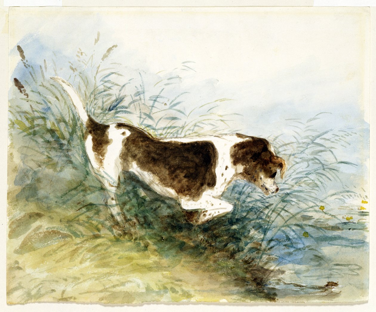 Koira katselemassa rotta vedessä - Dedham, maalattu 1831 tekijältä John Constable
