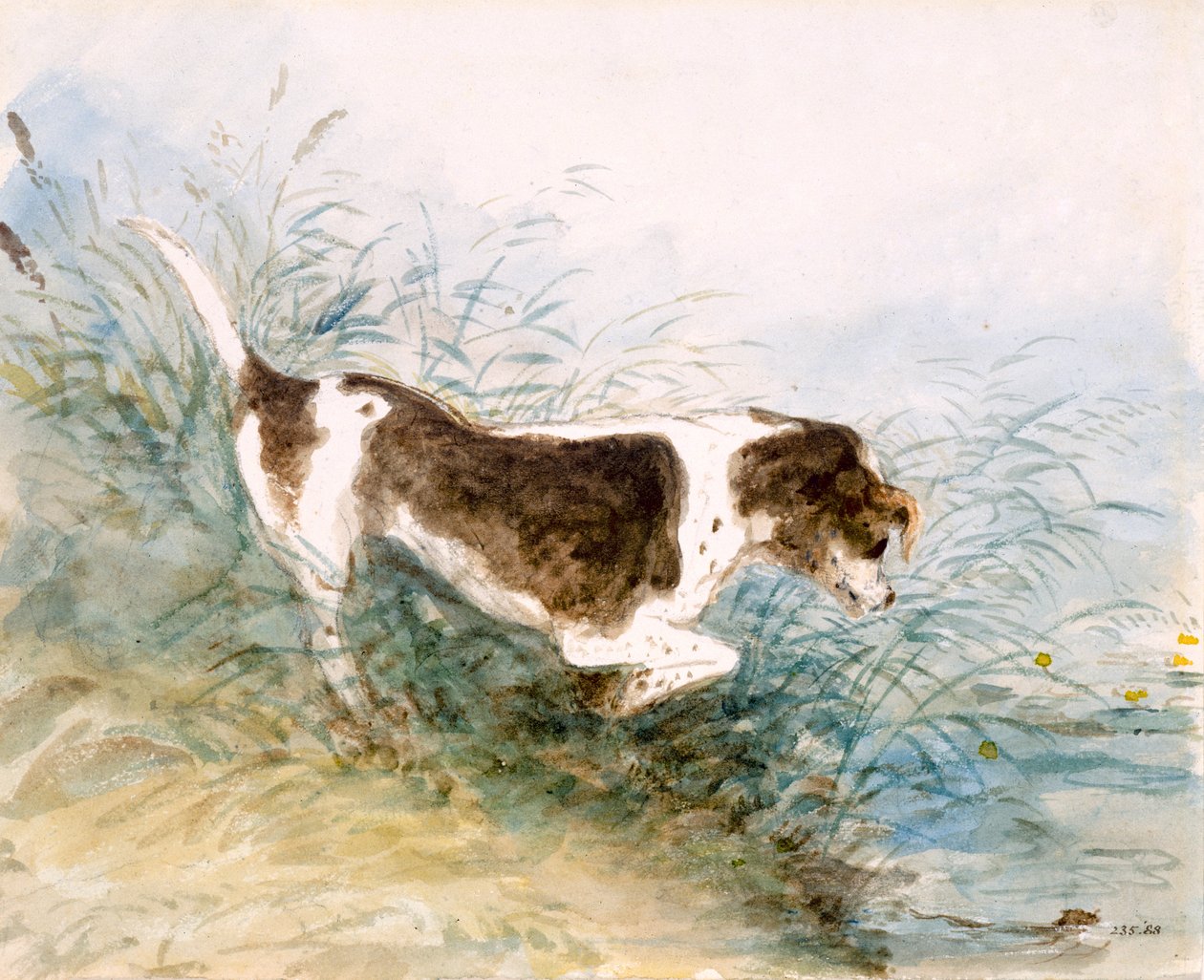"Koira katselemassa rotta vedessä", 1831 tekijältä John Constable