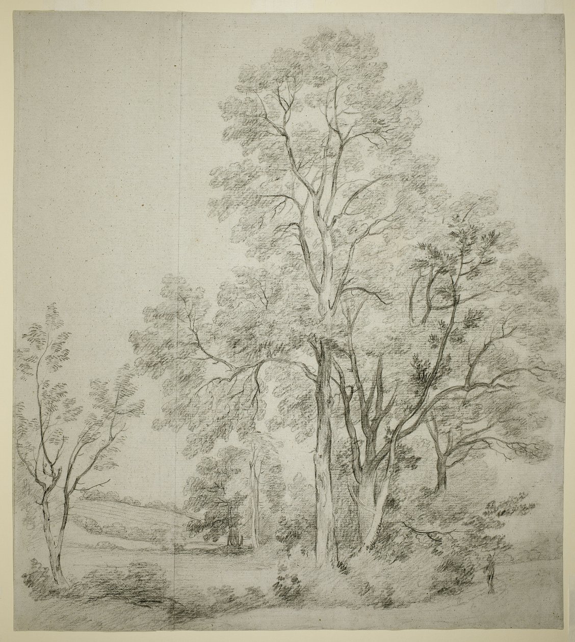 Jalavapuu (recto); Tutkimus East Bergholtista kirkon kanssa (käänteinen) tekijältä John Constable