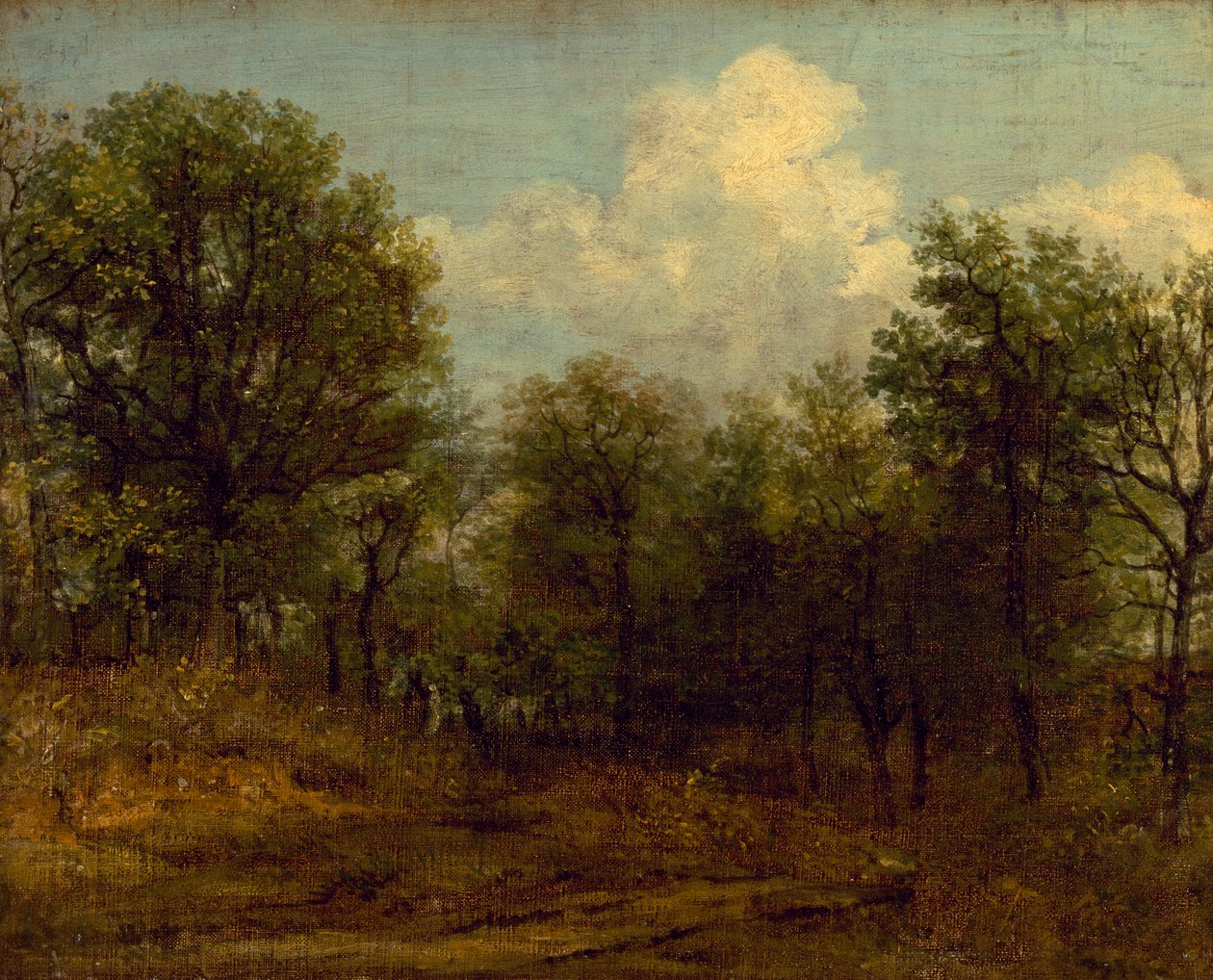 A Wood (öljymaalaus) tekijältä John Constable