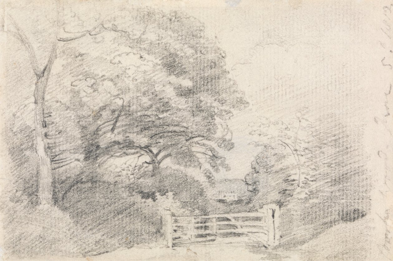 Coombe Wood tekijältä John Constable