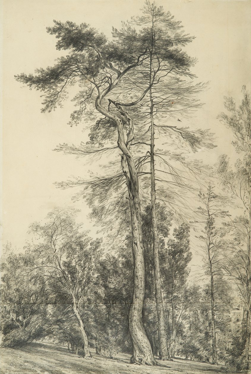 Kuuset, noin 1833 tekijältä John Constable