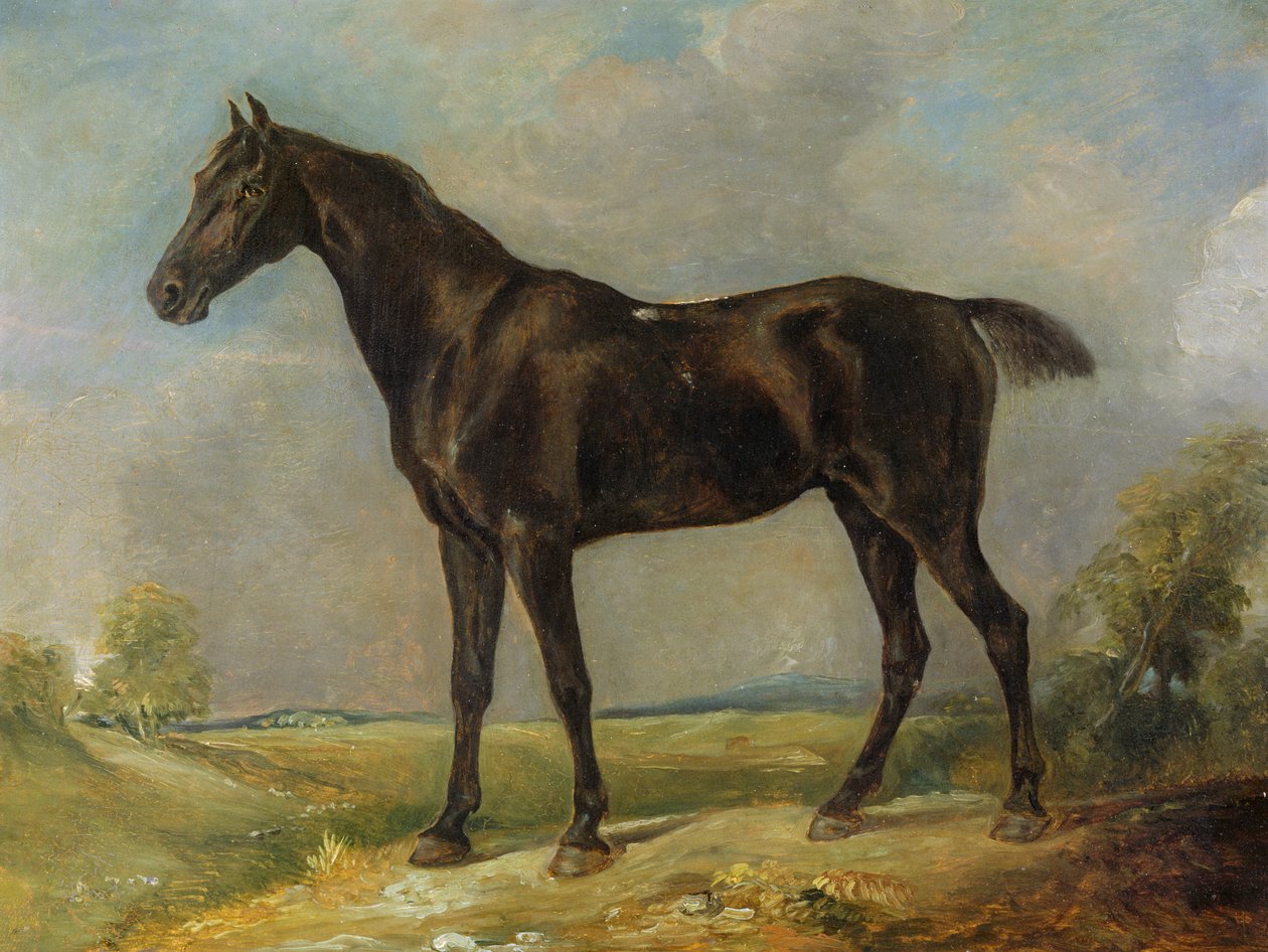 Golding Constaapelin musta ratsastushevonen, n. 1805-1010 tekijältä John Constable