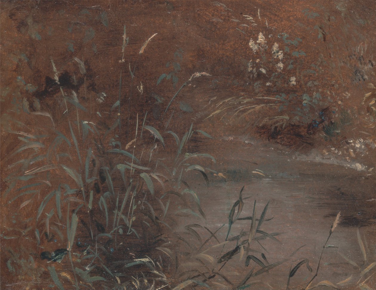 Juoksee uima-altaalla tekijältä John Constable