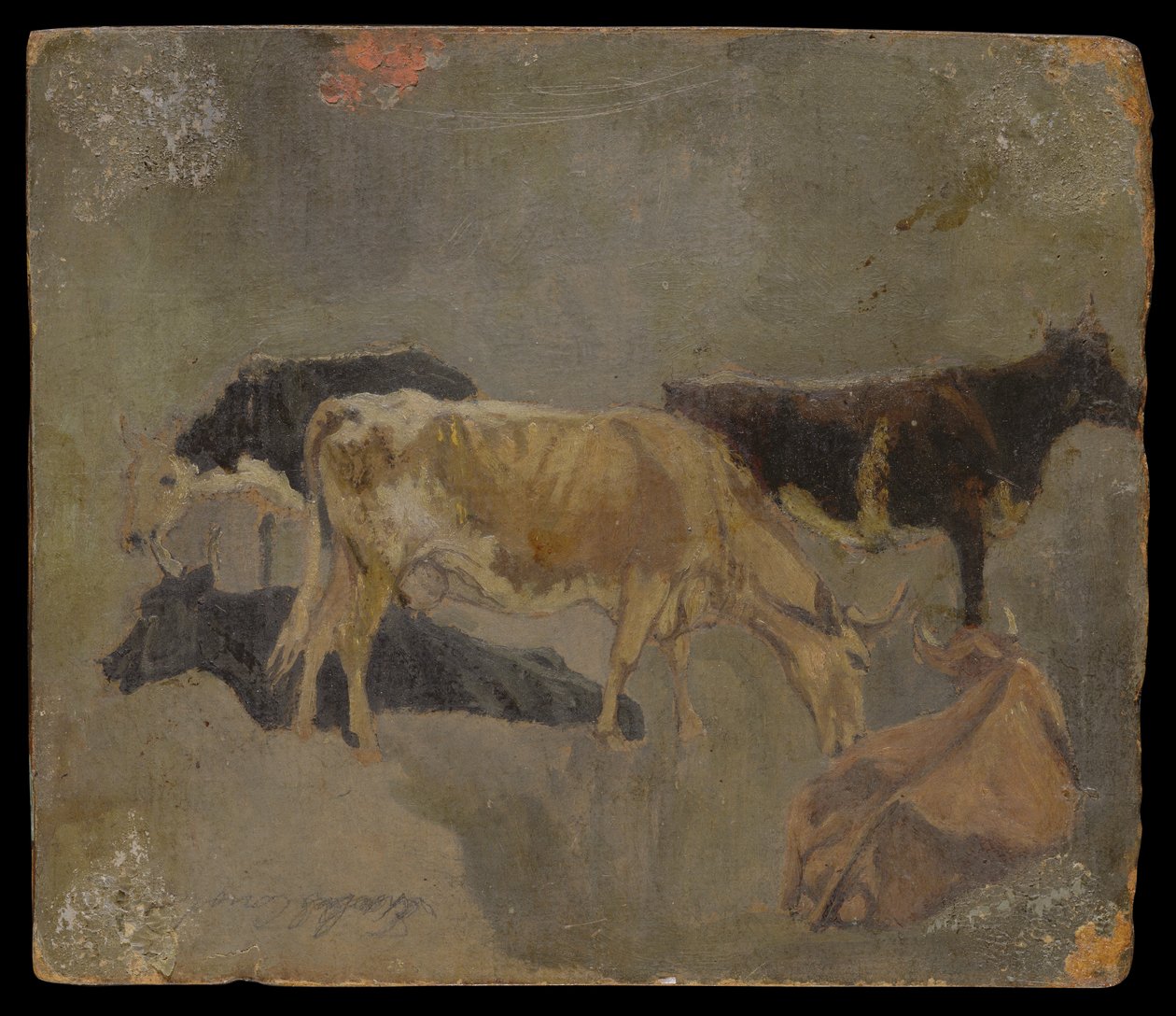 Tutkimus viisisarvisesta karjasta (verso) (öljy myllylaudalle) tekijältä John Constable