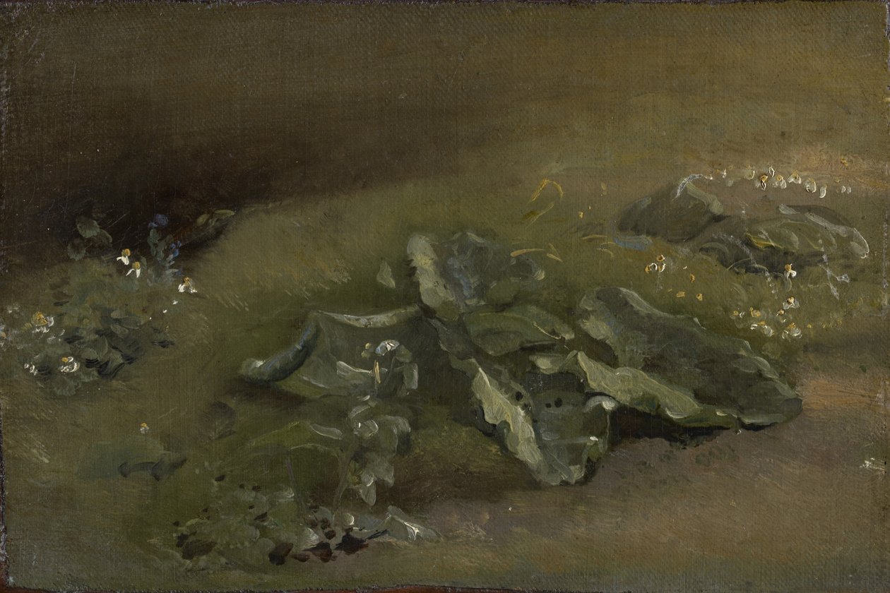 Tutkimus takiaisesta, n. 1810–1814 tai n. 1828 tekijältä John Constable