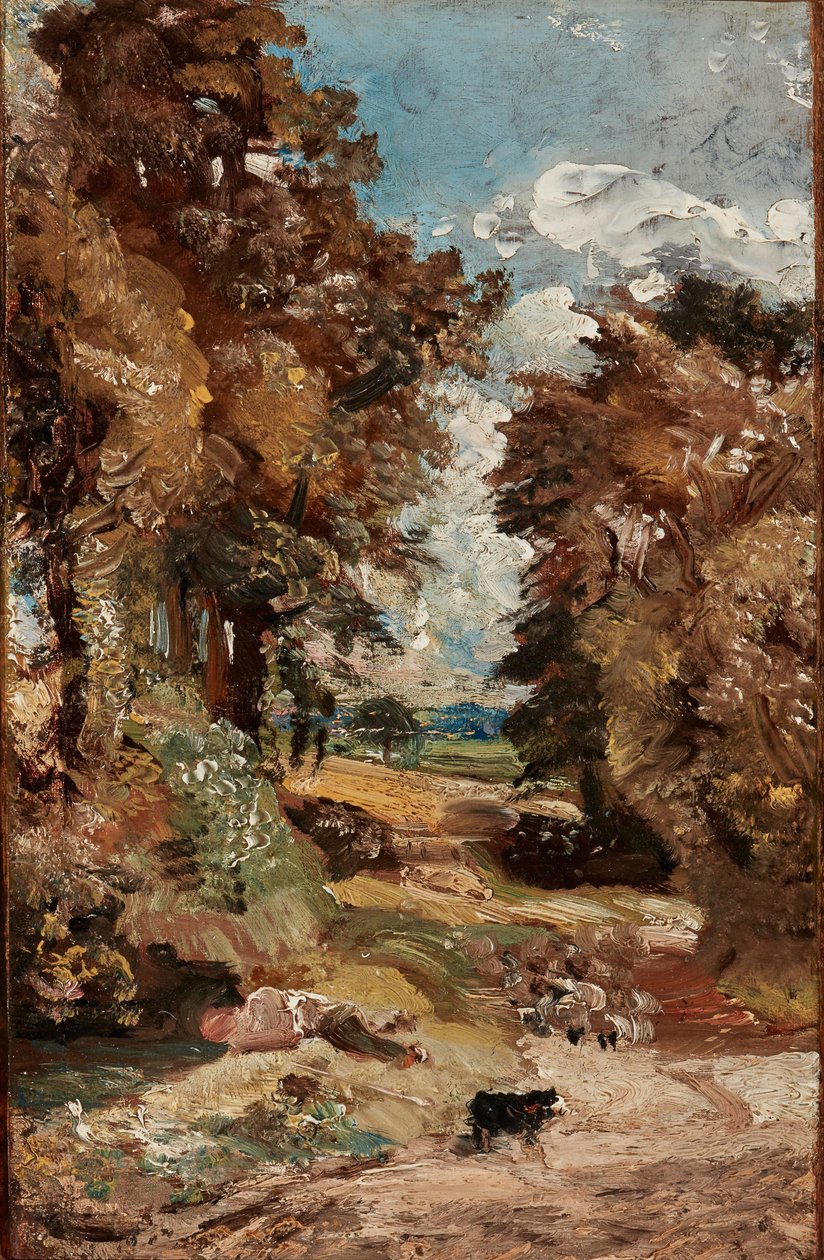 Maissipelto tekijältä John Constable