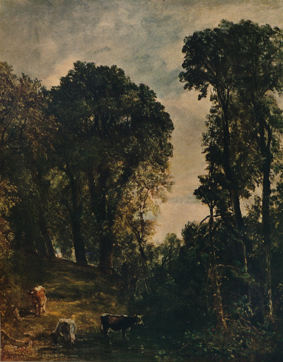 Puut lähellä Hampsteadin kirkkoa, 1829, c1915 tekijältä John Constable