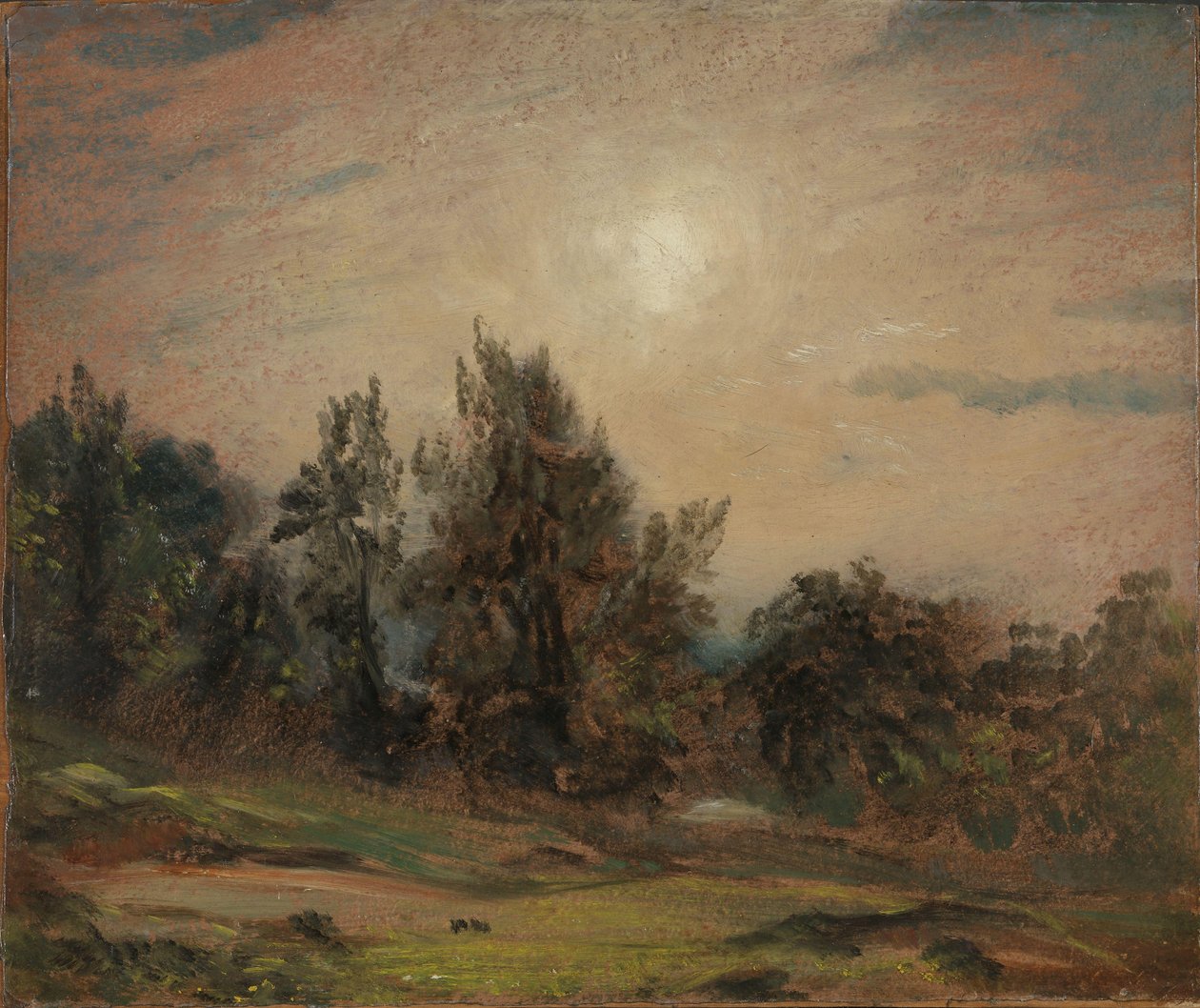 Hampstead Heathin puut tekijältä John Constable