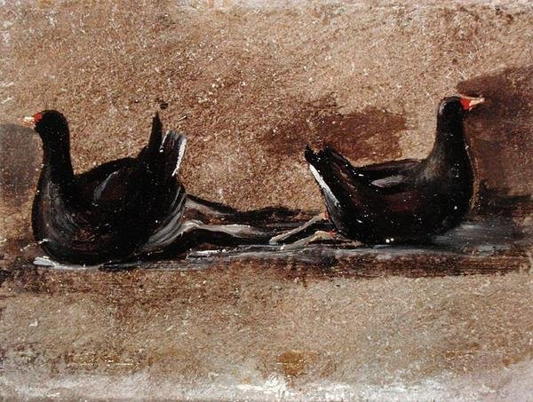 Kaksi Moorhens on the Water (öljyä laivalla) tekijältä John Constable