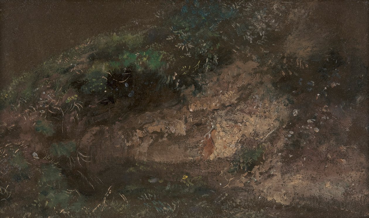 Aluskasvillisuus tekijältä John Constable