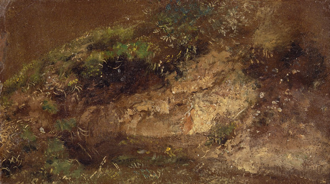 Aluskasvillisuus, n. 1821 (öljy paperille aluksella) tekijältä John Constable