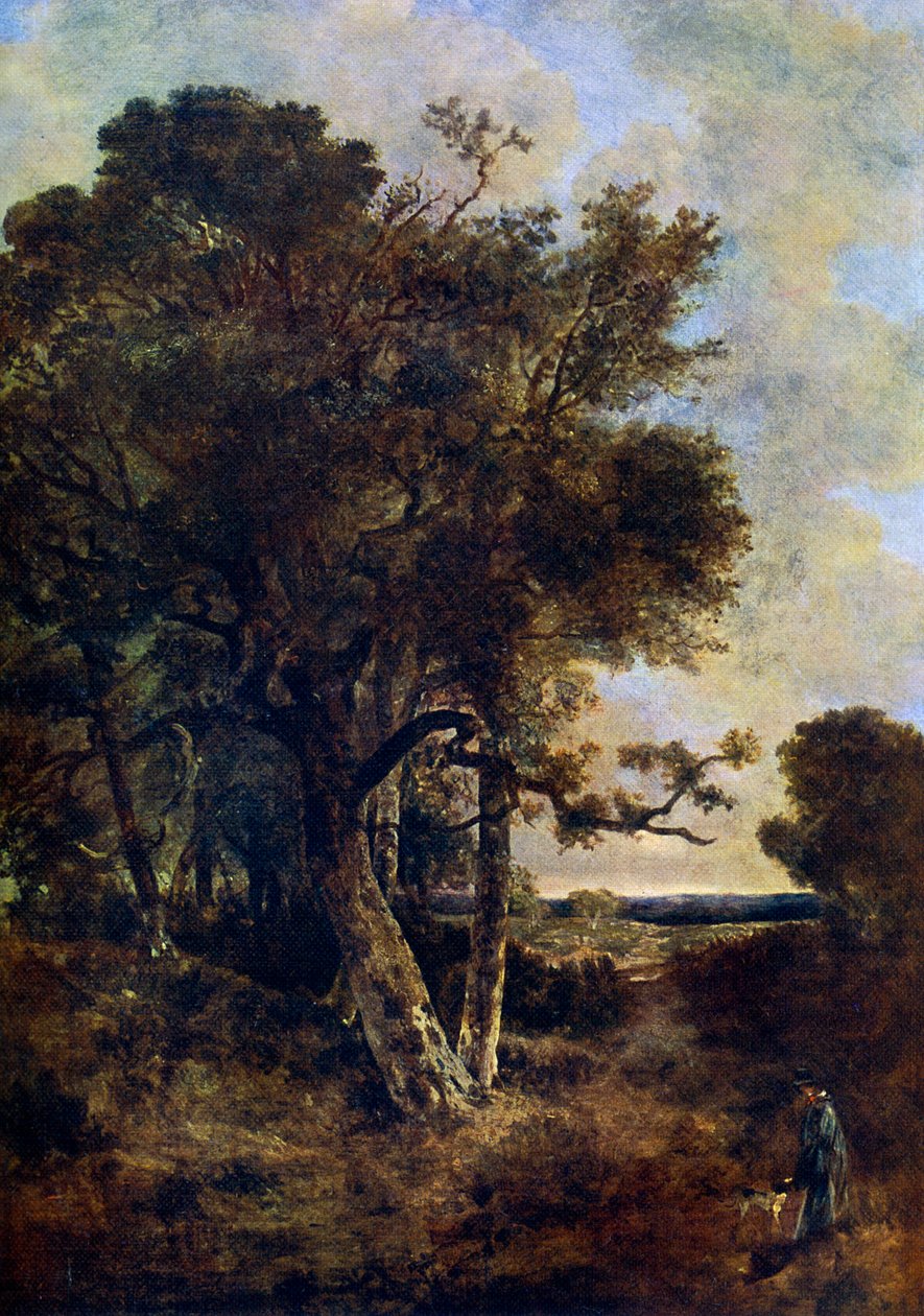 Metsän hameilla, c1788-1821, 1912. tekijältä John Crome