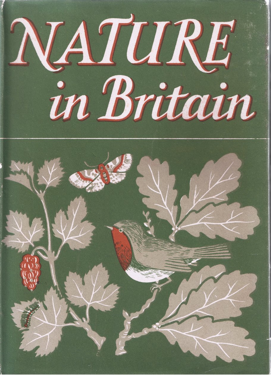 Study of Trees, Nature in Britain julkaissut Collins, 1946 tekijältä John Crome