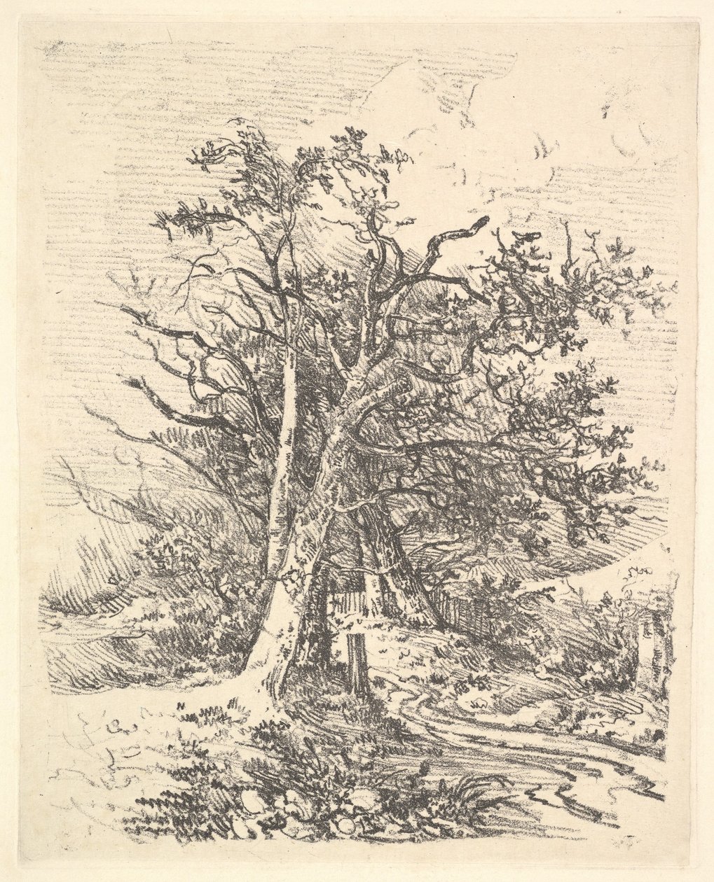Puunrungot ja Lane, 1811-13. tekijältä John Crome