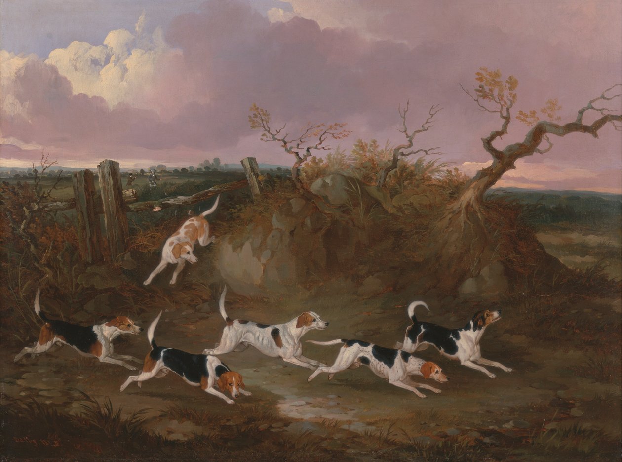 Beagles in Full Cry tekijältä John Dalby